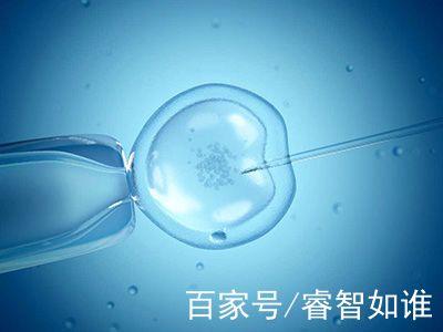 42岁高龄二胎成功案例